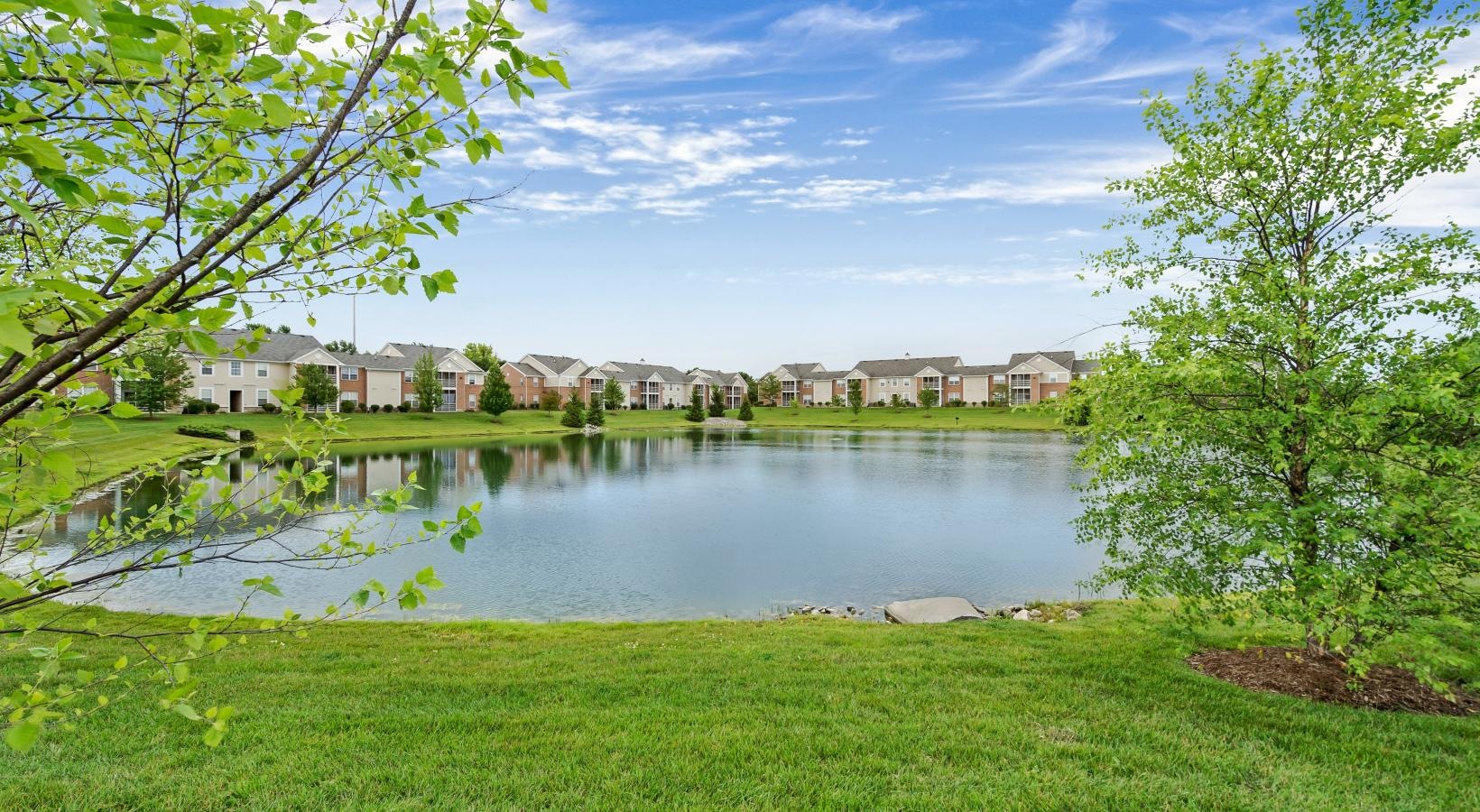 a body of water with grass and trees around it